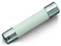 WAGO 282-452 G-zekering-insert 200 stuk(s) - thumbnail