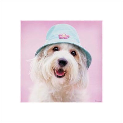 Kunstdruk Rachael Hale - Cindy 40x40cm