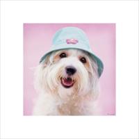 Kunstdruk Rachael Hale - Cindy 40x40cm - thumbnail