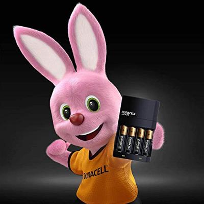 Oplader + Oplaadbare Batterijen DURACELL CEF14 2 x AA + 2 x AAA HR06/HR03 1300 mAh (1 Stuks) - thumbnail