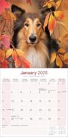 Schotse Herder Kalender 2026 - thumbnail