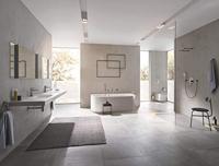 Closetborstelset GROHE Essentials New Muurbevestiging Hard Graphite Geborsteld - thumbnail