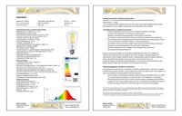 Segula 55700 LED-lamp Energielabel F (A - G) E27 6.5 W = 51 W Warmwit (Ø x l) 65 mm x 145 mm 1 stuk(s) - thumbnail