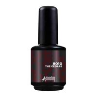 Astonishing Nails Gelosophy #010 The Cedars 15ml - thumbnail