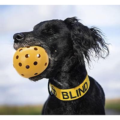 Trixie gatenbal natuurrubber met bel voor blinde of gehandicapte hond
