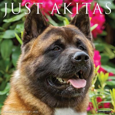 Akita Kalender 2026