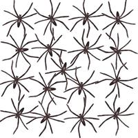 50 spinnen pvc - thumbnail