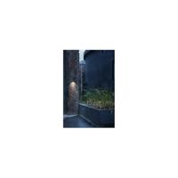 SLV ENOLA SQUARE M 1003417 LED-buitenlamp (wand) LED vast ingebouwd 10 W Antraciet - thumbnail