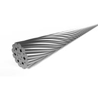Rem binnenkabel Elvedes 2 000 mm 1×19 draads RVS ø1,5mm met T-nippel ø7 × 6mm - thumbnail