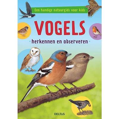 Vogels herkennen en observeren (Paperback)