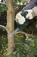 Bosch Accessoires Zaagblad M 1131 L voor Bosch multizaag PFZ 500 E Top for Wood 1st - 2608650414 - thumbnail