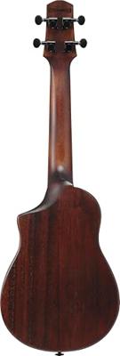 Ibanez AUC14 Open Pore Violin Sunburst concert ukelele met gigbag - thumbnail