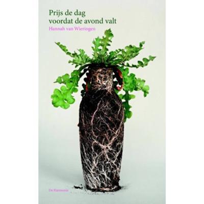 Prijs de dag voordat de avond valt (Paperback)