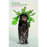 Prijs de dag voordat de avond valt (Paperback) - thumbnail