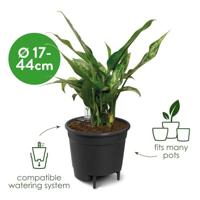 Self-watering insert 21 living black binnen l 21 x w 21 x h 19,4 cm elho - Elho - thumbnail