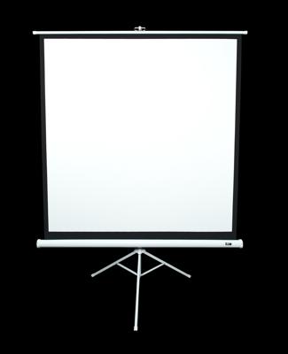 ELITE SCREENS tripod screen Tripod white 203 x 203 cm, 1:1 format 113 inches, T113NWS1