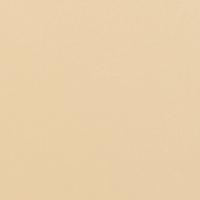 Tonic Studios • pearlescent card a4 x5 ivory sheen - thumbnail