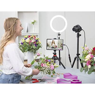 Hama Video-opname-stick USB-stekker.- HDMI-aansluiting 4K