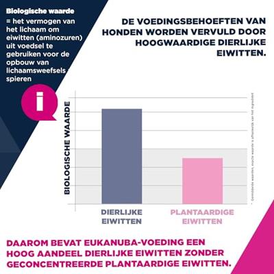 Eukanuba Senior Large met lam en rijst hondenvoer 12 kg