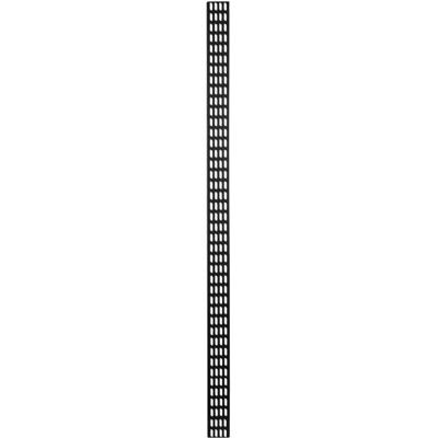 DSI 42U verticale kabelgoot - DS-CABLETRAY-42U kabelkanaal DSI 42U verticale kabelgoot - DS-CABLETRAY-42U kabelkanaal
