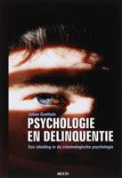 Psychologie en delinquentie (Paperback) - thumbnail