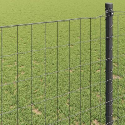Euro Hek Grijs 0.8 x 25 m PVC-gecoat ijzer - thumbnail