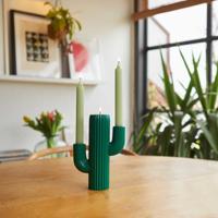 Cactus kandelaar - thumbnail