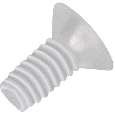 TOOLCRAFT 839986 Bolverzonken schroeven M2.5 20 mm Kruiskop Phillips DIN 966 Kunststof, Polyamide 10 stuk(s)