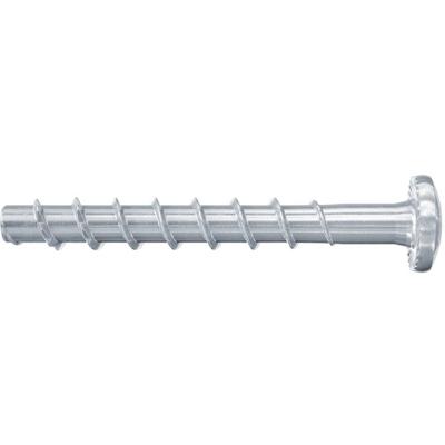 Fischer FBS II 6x60/5 P BETONSCHROEF 100 St - 546380 Fischer FBS II 6x60/5 P BETONSCHROEF 100 St - 546380