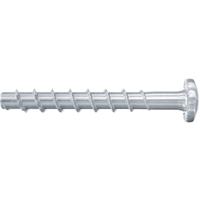 Fischer FBS II 6x60/5 P BETONSCHROEF 100 St - 546380 - thumbnail