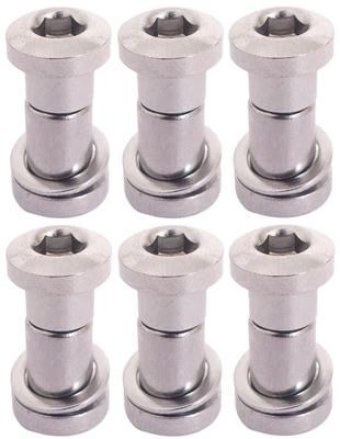 Bofix Zadelpenbout inbus 19 mm - chroom (6 stuks)