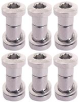 Bofix Zadelpenbout inbus 19 mm - chroom (6 stuks) - thumbnail