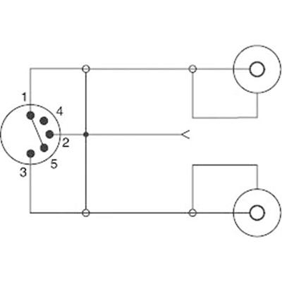 SpeaKa Professional SP-7870284 Cinch / DIN-aansluiting Audio Y-adapter [1x Diodestekker 5-polig (DIN) - 2x Cinch-koppeling] Zwart