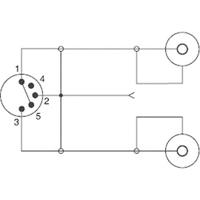 SpeaKa Professional SP-7870284 Cinch / DIN-aansluiting Audio Y-adapter [1x Diodestekker 5-polig (DIN) - 2x Cinch-koppeling] Zwart - thumbnail