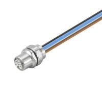Weidmüller 2530780000 Sensor/actuator connector, niet geassembleerd Aantal polen (sensoren): 5 1 stuk(s) - thumbnail