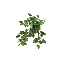 Kunstplant steker/hang Peperomia groen - thumbnail