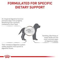 ROYAL CANIN Dog Gastrointestinal Puppy VHN - droog hondenvoer - 1kg - thumbnail