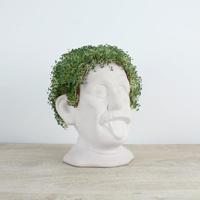 Einstein bloempot met zaadjes - thumbnail