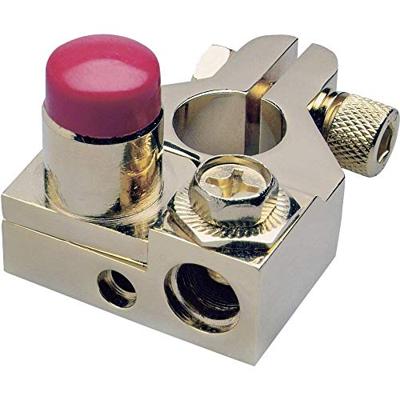 Sinuslive 13418 BKS + Accupoolklem Pluspool Verguld 1 stuk(s) Sinuslive 13418 BKS + Accupoolklem Pluspool Verguld 1 stuk(s)