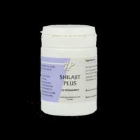 Shilajit plus 45 Vegetarische capsules - thumbnail
