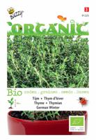 Zaden Organic Winter Tijm (BIO) Buzzy - Buzzy - thumbnail