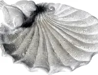 Mega Collections schelp vogelbadje Ø 23 x 7cm - thumbnail