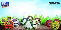 E&L Sports Voetbal champion - verschillende prints - 320 gram - maat 5 - thumbnail