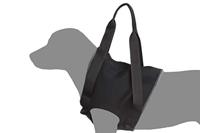 Revalidatie Tuig Hond - Voor - Maat M - thumbnail