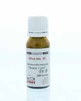 DNH Rhus tox 30 200 Stuks - thumbnail