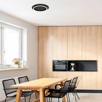 Steinhauer Moderne led plafonnièreRinglux zwart - Ø 32cm - 3655ZW