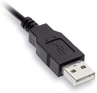 CHERRY Wheelmouse Muis USB Optisch Zwart 3 Toetsen 1000 dpi - thumbnail