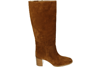 Hogl 106622 - alle Hogl 106622 - alle