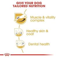 Royal Canin Adult Jack Russell Terriër hondenvoer 3 kg - thumbnail