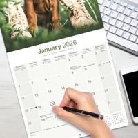 Rhodesian Ridgeback Kalender 2026 - thumbnail